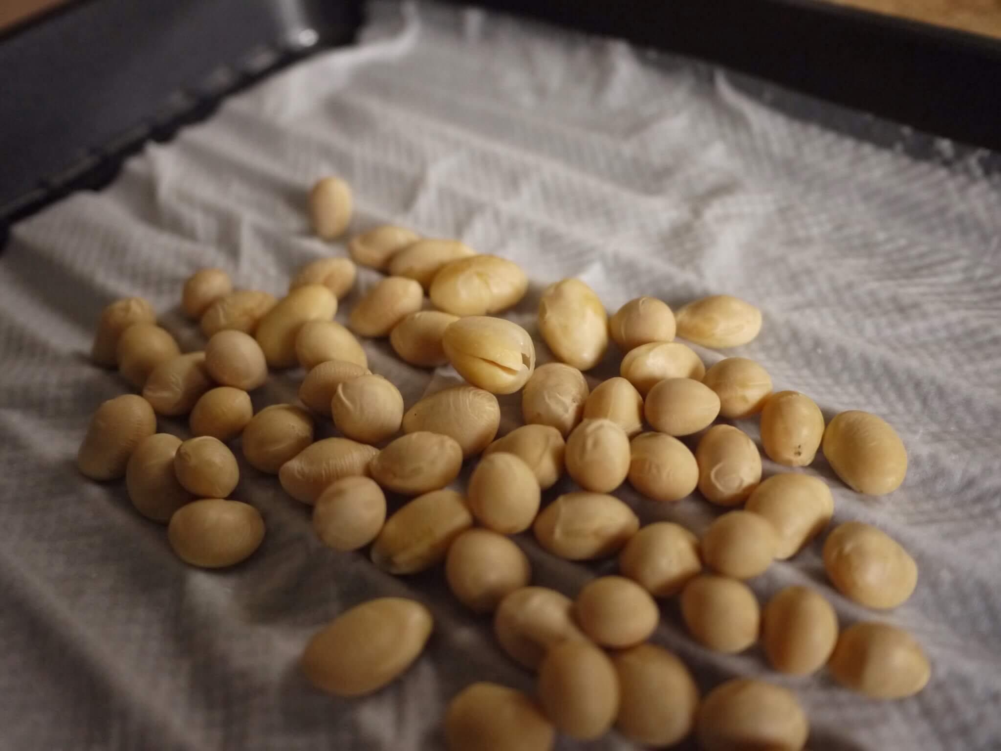 発芽豆を作ってみた。豆の旨味と栄養分が劇的にアップするよ