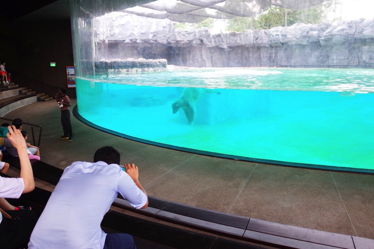 シンガポール動物園 徹底ガイド 混雑状況 行き方 滞在時間などを解説 Fu 真面目に生きる ふまじめにいきる