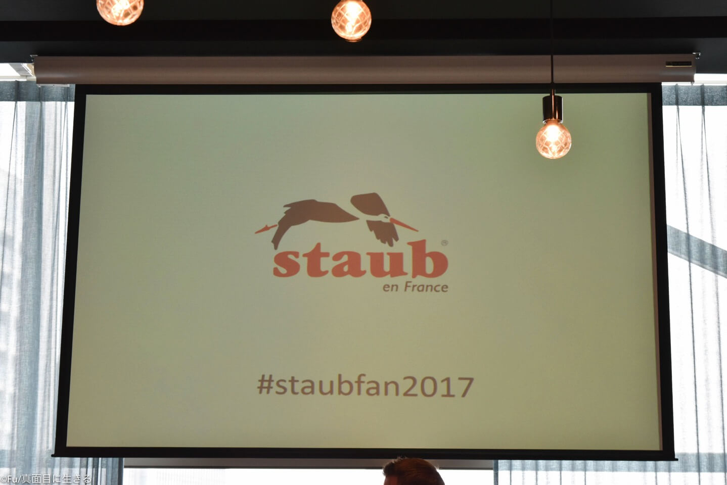 staubfun2017