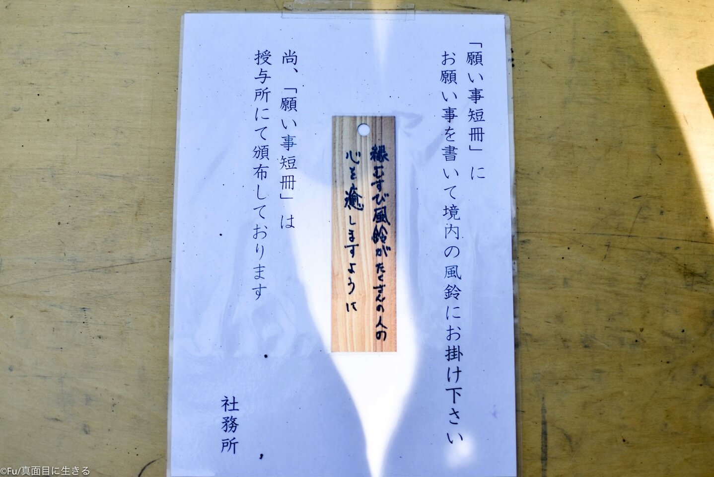 裏に願い事を書いていく