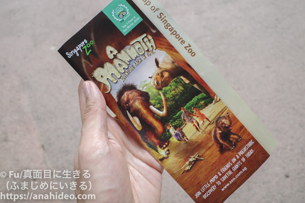 シンガポール動物園のパンフレット（英語）
