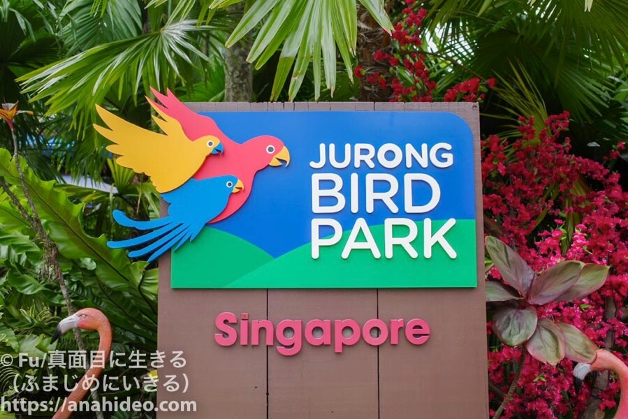 Jurong bird park 1
