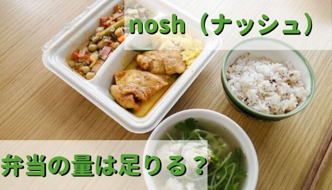 【量は足りる？少ない？】nosh（ナッシュ）宅食/宅配弁当はご飯がついてないけど、バランスよく満足できる